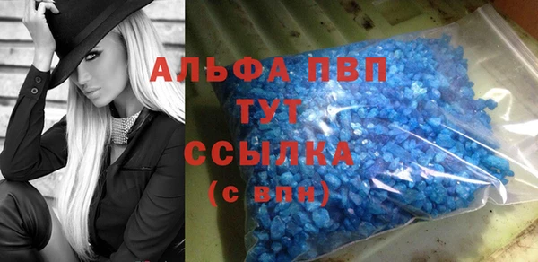 спиды Лиски