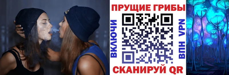 Псилоцибиновые грибы MAGIC MUSHROOMS  Урень 